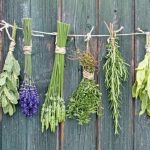 Herbs_Dried-848×471